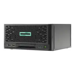 HPE ProLiant MicroServer Gen10 Plus v2 Performance 1 - Serveur - Tour ultra micro 1 voie - 1 x Xeon... (P54649-421)_1